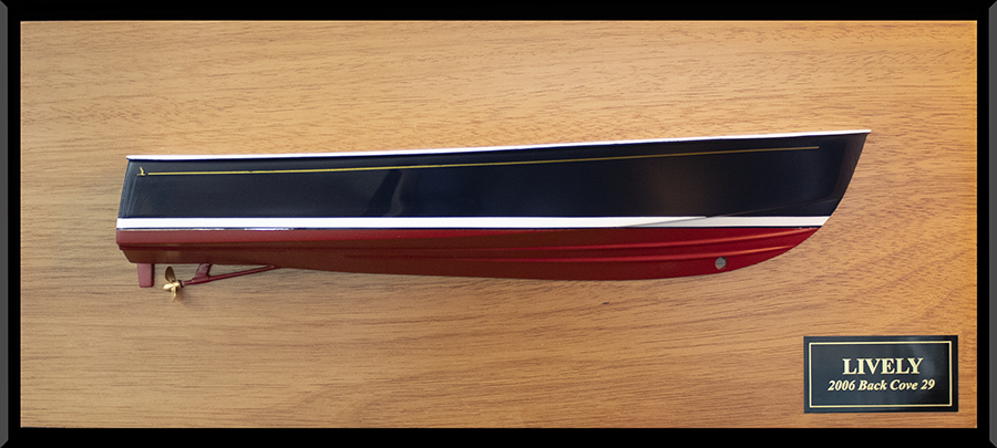 Back Cove 29 flush deck custom half hull